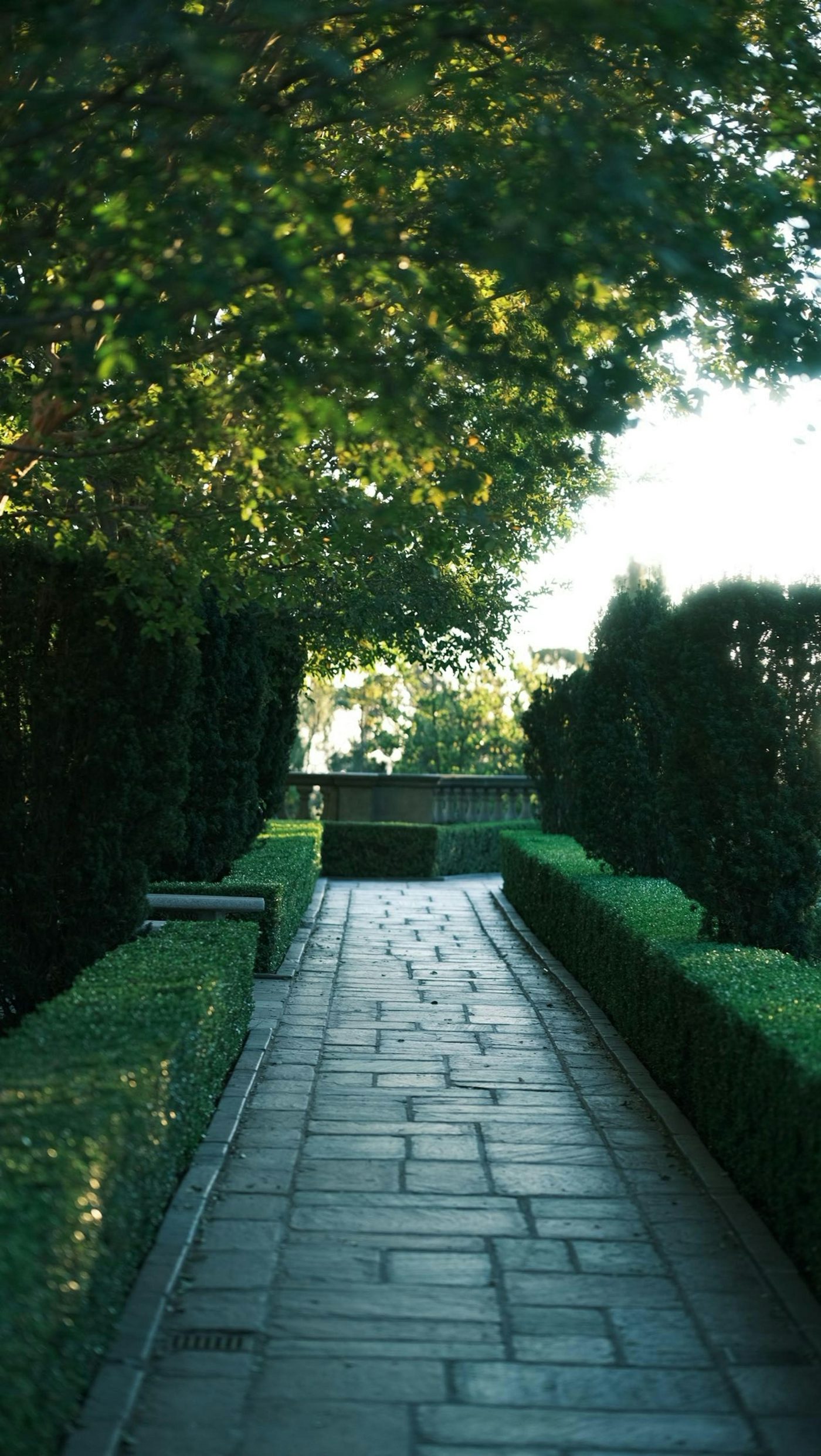 Stone garden path surrounded by layered planting